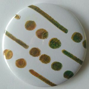 Badge magnet